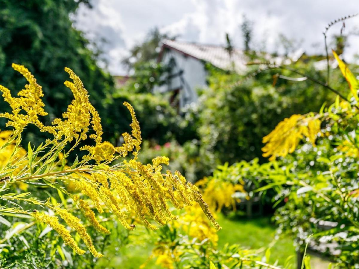 Kleebergerhofke Bed and Breakfast Μεσελέν Εξωτερικό φωτογραφία